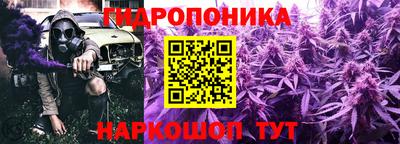 прущие грибы Кандалакша