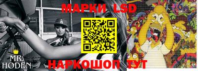прущие грибы Кандалакша
