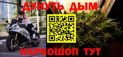 прущие грибы Кандалакша