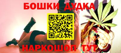 прущие грибы Кандалакша