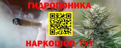 прущие грибы Кандалакша