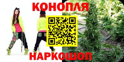 прущие грибы Кандалакша