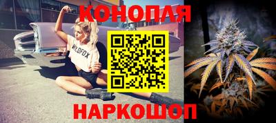 прущие грибы Кандалакша
