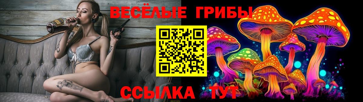 Псилоцибиновые грибы мицелий Краснодар
